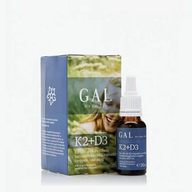 GAL K2+D3 vitamin