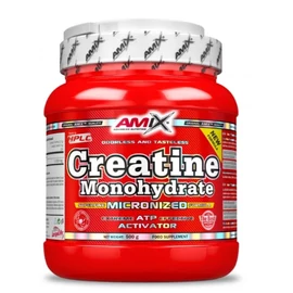 AMIX CREATINE MONOHYDRATE 500G