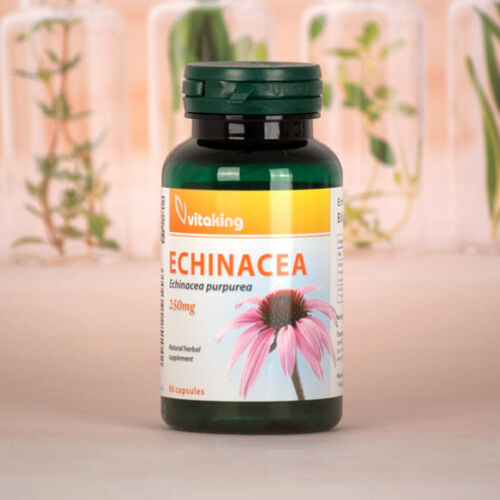 Vitaking Echinacea-bibor kasvirág